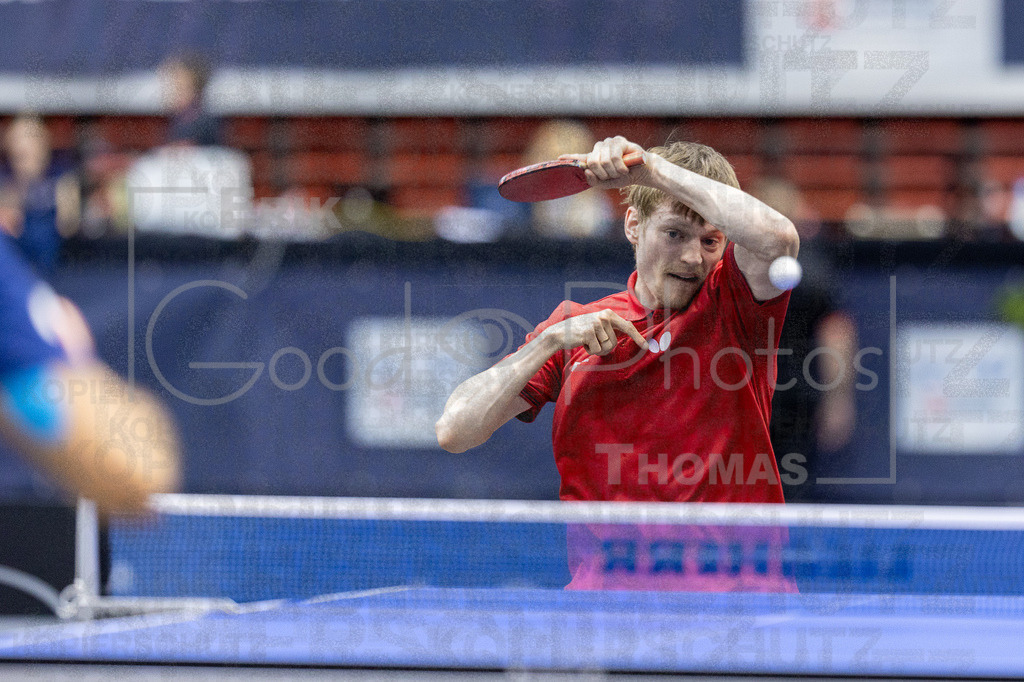 European_Championships_2024-10-18_115 | good-photos - Realisiert mit Pictrs.com