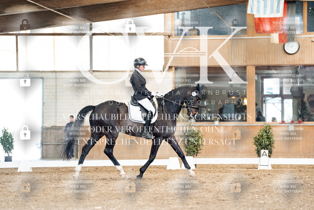 CK901213 | Turnierfotografie Pferdefotografie Trier Rheinland-Pfalz Pferdesport Reitsport Tierfotografie Sportfotografie Pferdevideo Pferdevideografie Equestrianvideography equestrianphotography  - Realisiert mit Pictrs.com