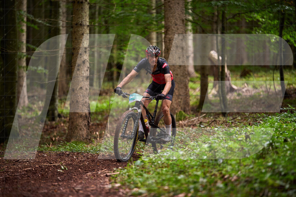 Betriebszentrum Laubenbachmühle, Frankenfels, Österreich - 13. September 2025: Dirndltal Race - Fun und Trophy RaceFotograf: Martin Bihounek / martinbihounek.com | 13. September 2025 Betriebszentrum Laubenbachmühle, Frankenfels, Österreich : Dirndltal Race - Fun und Trophy Race •••••Photo by: Martin Bihounek / martinbihounek.comInsta: @martinbihounekcom