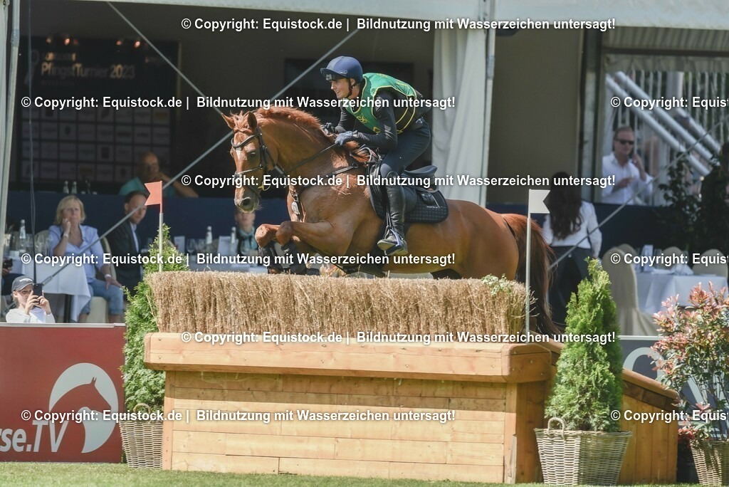 20230527_27_CCI4_Gelände_0173 | equistock