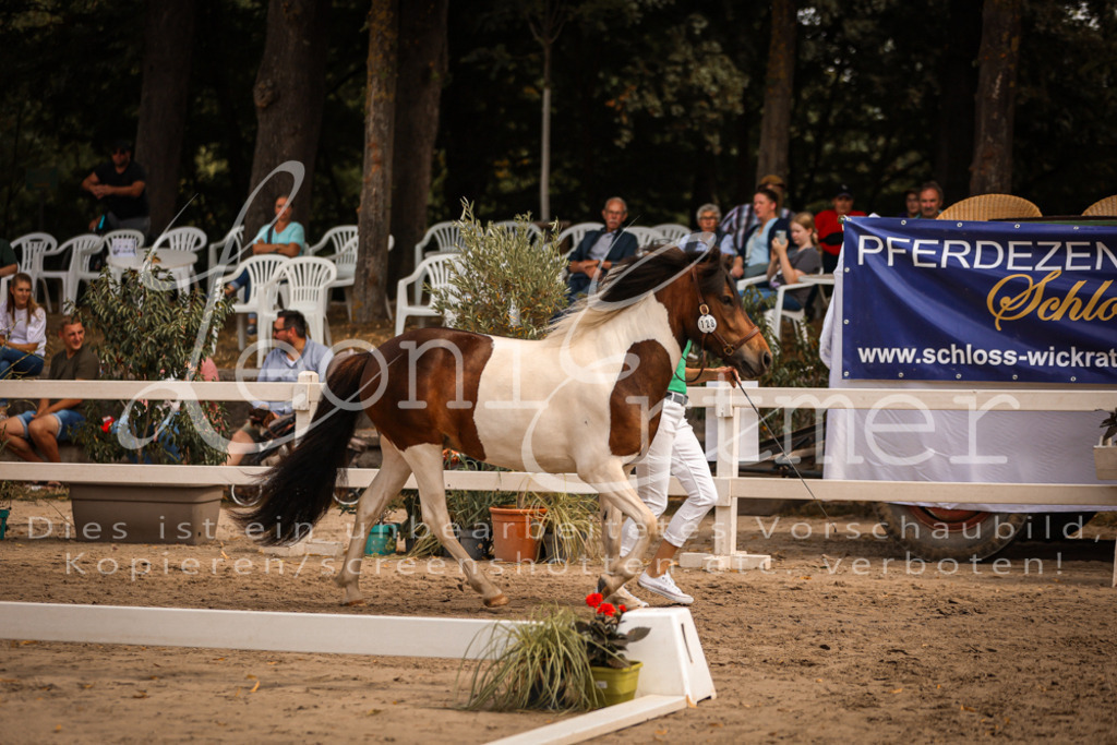 03.So00060 | Leoni Ertmer Photography - Realisiert mit Pictrs.com