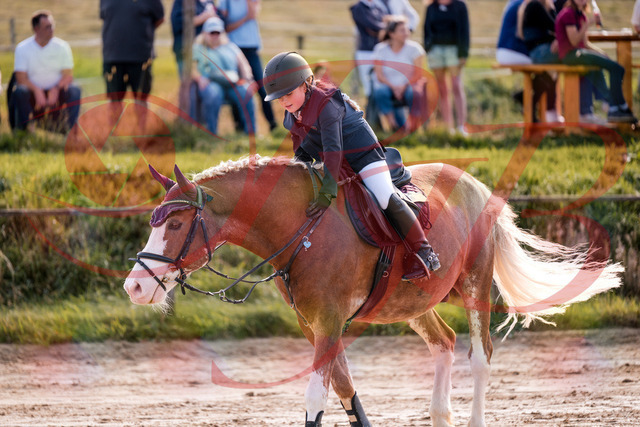 2026_10_03_Siefer-Hof_144535_Z81_21304207 | Professionelle Reitsport-, Turnier- und Eventfotografie von Robert Broda. Galerien mit ausgewählten und bearbeiteten Bildern direkt online ansehen und bestellen.