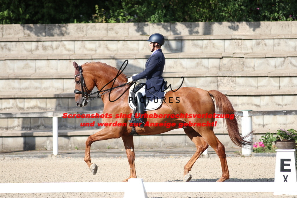 IMG_8902 | lmwpictures - Realisiert mit Pictrs.com