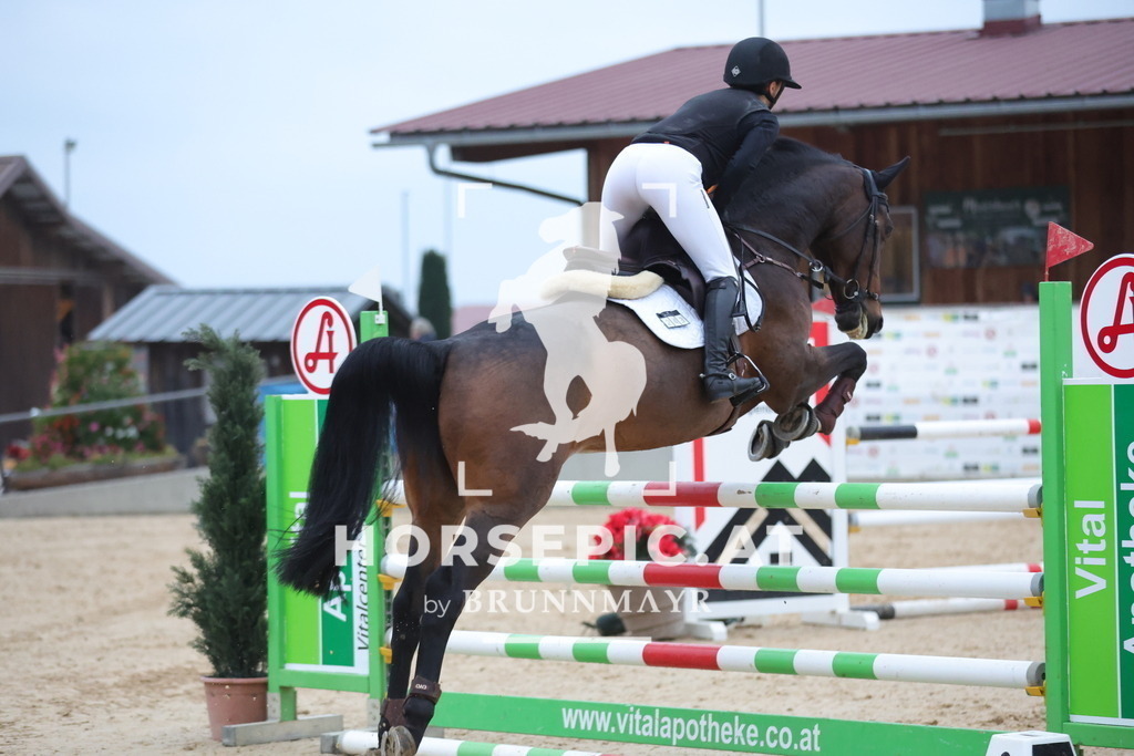 0P6A5354 | Willkommen bei Brunnmayr - Design & Fotografie – Ihrem Spezialisten für Reitturniere und Pferdeveranstaltungen in Oberösterreich, Salzburg und Bayern! Seit über 17 Jahren sind wir leidenschaftlich dabei.