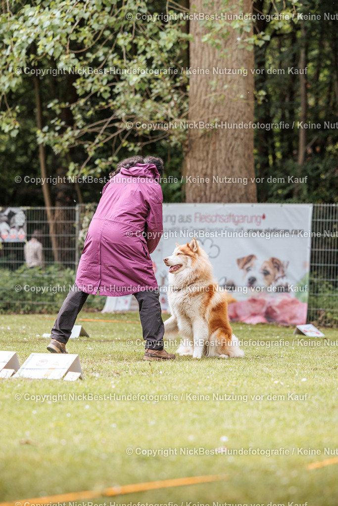 RO-Blumenthal-2026-Nickbest-Hundefotografie-2096 | Dein Hund! Dein Moment! Deine Erinnerungen! Hundefotografie in Bremen Blumenthal. Ich fange die besonderen Momente deines Vierbeiners ein – ob Indoor mit Blitzanlage oder in der freien Natur. Sicher dir dein Moment und dein Termin für eure Erinnerungen.