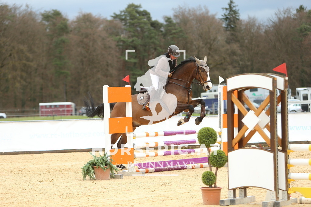 DL2Q2072 | Willkommen bei Brunnmayr - Design & Fotografie – Ihrem Spezialisten für Reitturniere und Pferdeveranstaltungen in Oberösterreich, Salzburg und Bayern! Seit über 17 Jahren sind wir leidenschaftlich dabei.