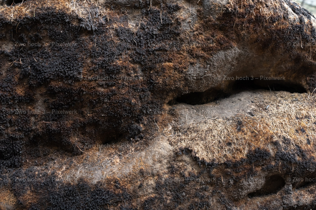 Rosssteig_Nahe_Kleiner_Kuhstall_Waldbrand_Felswand_Moos | 2022-08-30_Waldbrandgebiete_1 - Realisiert mit Pictrs.com