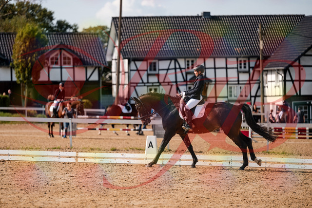 2026_10_03_Siefer-Hof_133656_Z63_98794055 | Professionelle Reitsport-, Turnier- und Eventfotografie von Robert Broda. Galerien mit ausgewählten und bearbeiteten Bildern direkt online ansehen und bestellen.