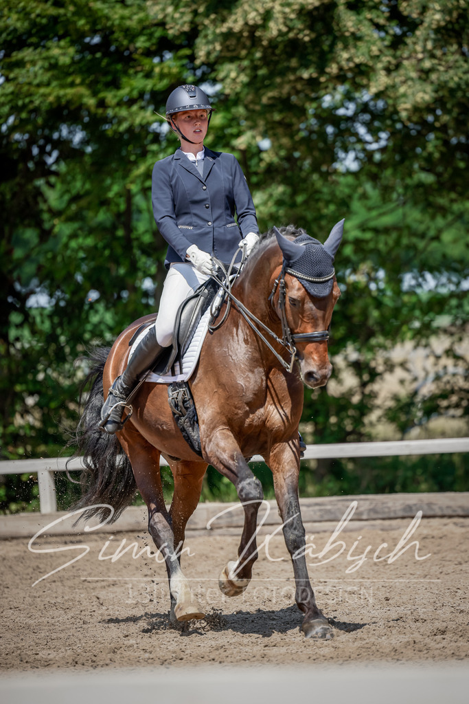 20250621-_3LI8737 | Tierfotografie Pferde, Hunde, Katzen, Haustiere.
Turnierfotografie Reitturniere, Reiten, Springreiten, Dressur in Hanau, dem Main-Kinzig-Kreis und dem Rhein-Main- Gebiet um Frankfurt