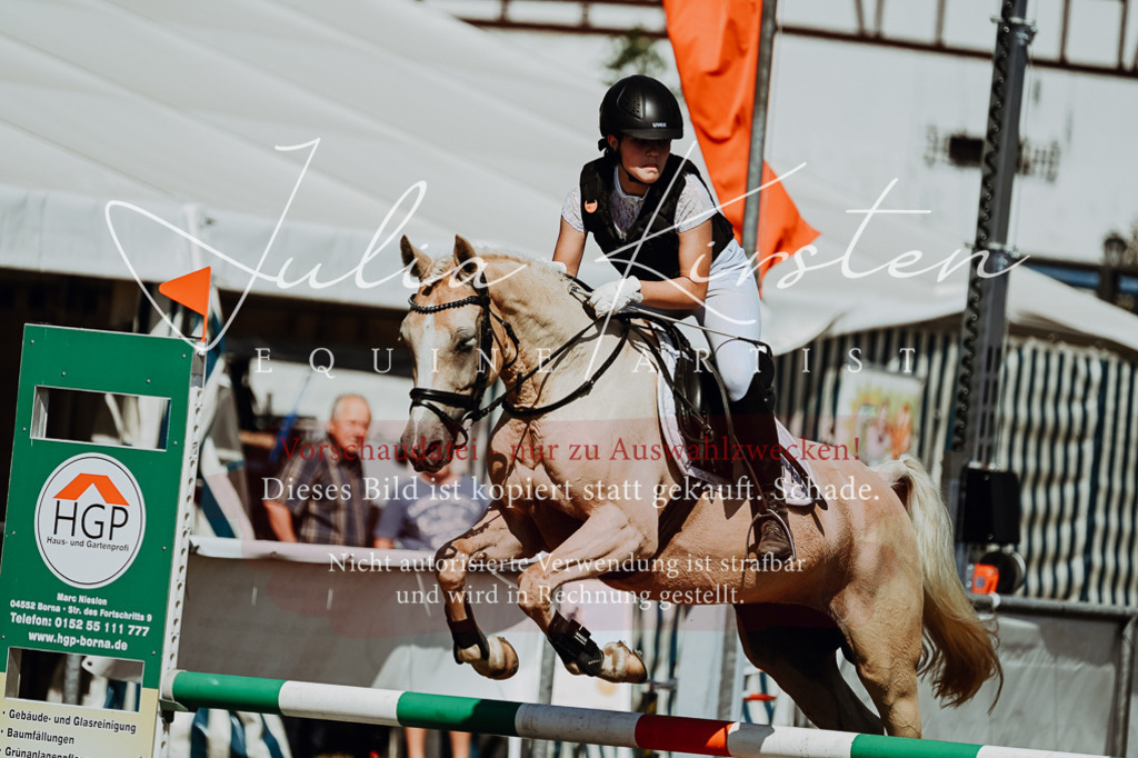 DSC_9927 | Pferde- und Turnierfotografie in Westsachsen. Pferdeportraits, Auftragszeichnungen und intuitive Kunst.