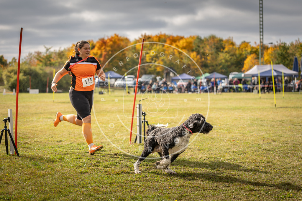 Pfotenfotografie_DV3A7056 | Hundefotografie, Tierfotograf, Pfotenfotografie, Fotoshooting Hund, Hunde Portrait, Hundesport, Hundeportraits, Heideshooting, Hunde, Sportfotograf, Hundefotograf, Turnierhundsport, THS,  - Realisiert mit Pictrs.com