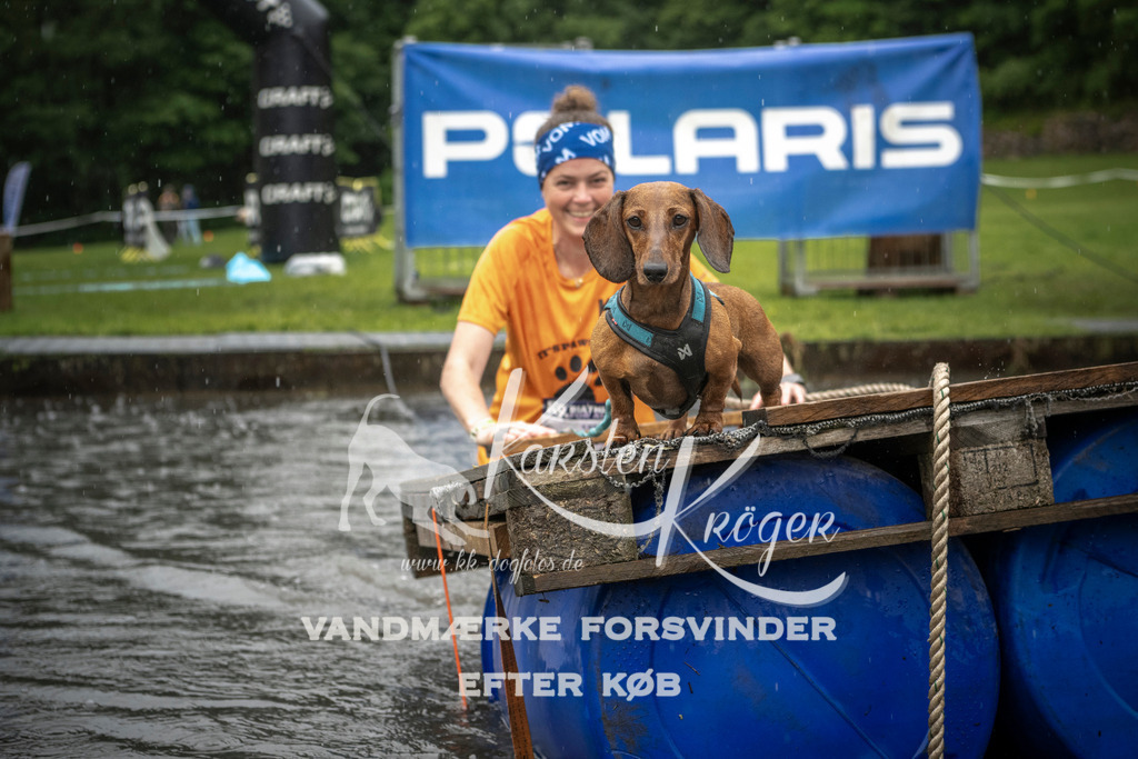 1412_ZZ99369 | kk-dogfotos