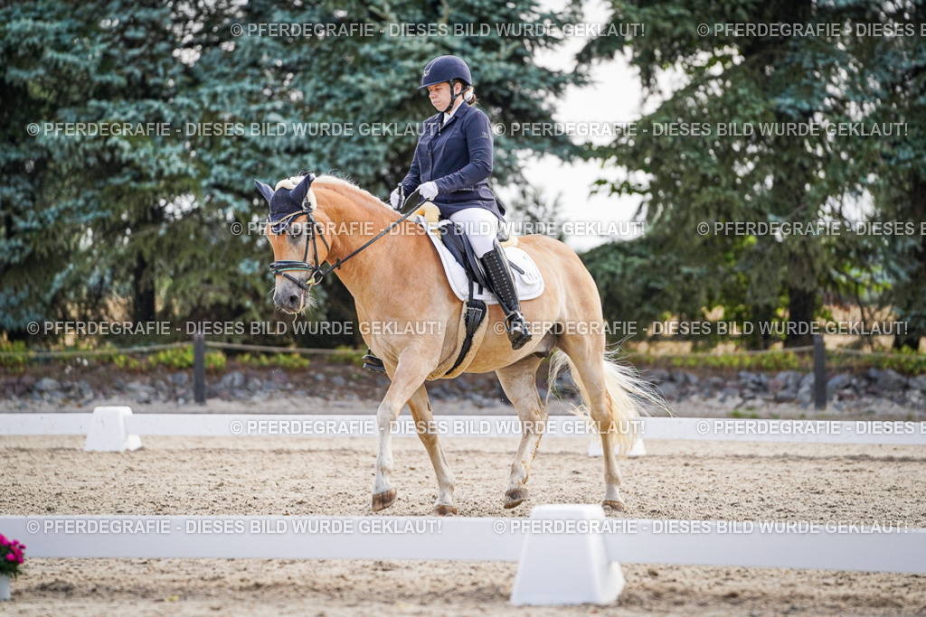 DSC00637 | Pferdegrafie