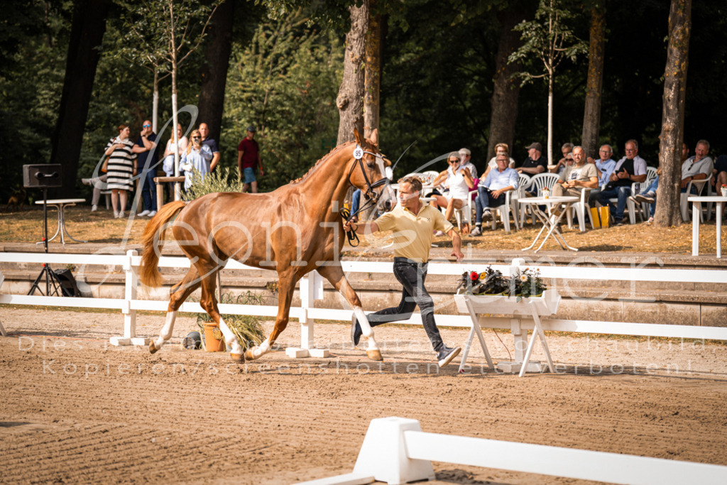 FrER00075 | Leoni Ertmer Photography - Realisiert mit Pictrs.com