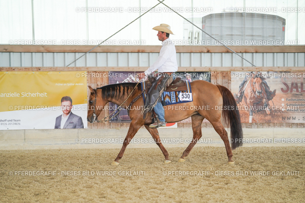 DSC00752 | Pferdegrafie