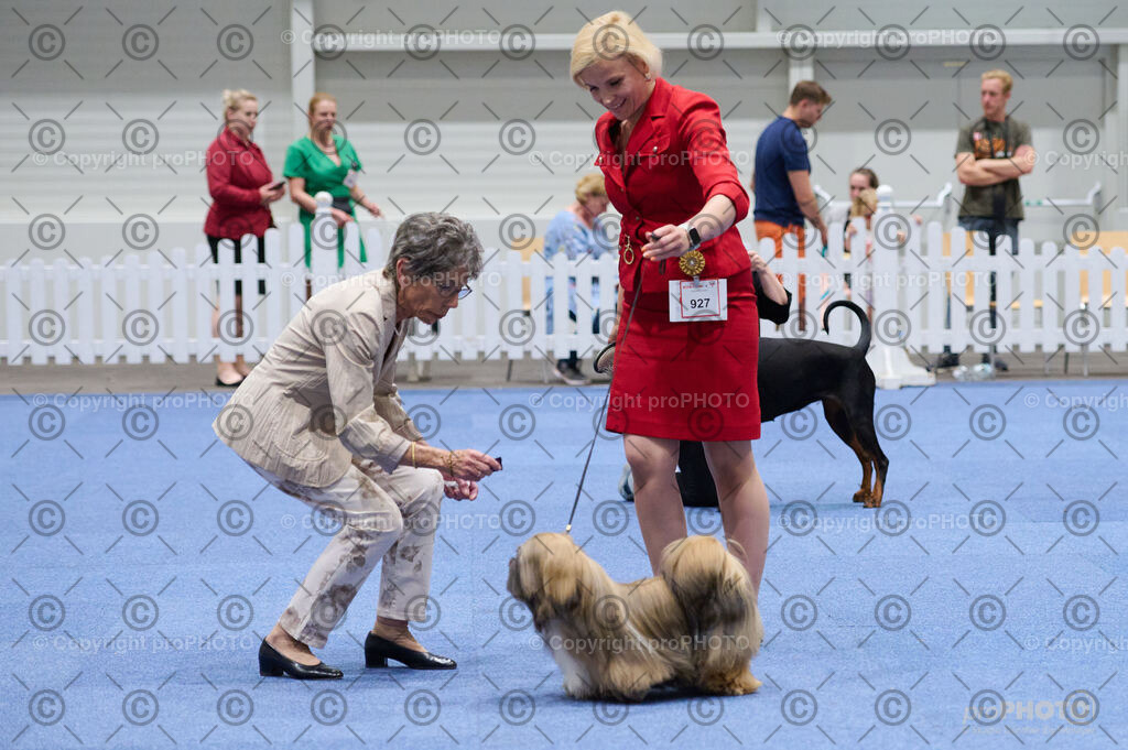 202406_ÖKV-IHA-Tulln24_DSC_3350 | proPHOTO - Realisiert mit Pictrs.com