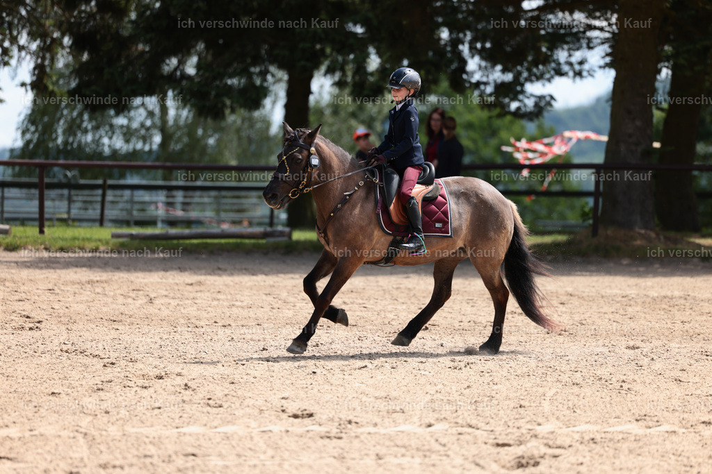 KlasseA_Stoibphotography_C2_L5686.JPG | working equitationturnier fotograf videograf stoibphotography marixx film working equitation deutschland reitsport turnierfotografie eventfotografie equestrian events