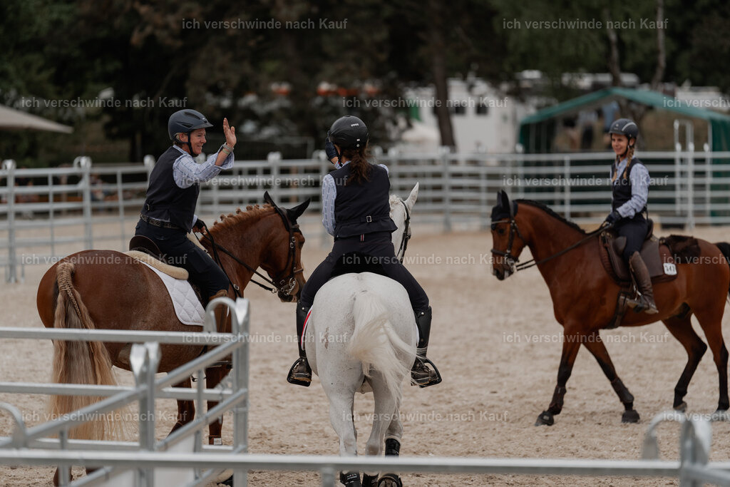 WE__Stoib_Rinder_PI2025_3157 | Pferd International München 2025