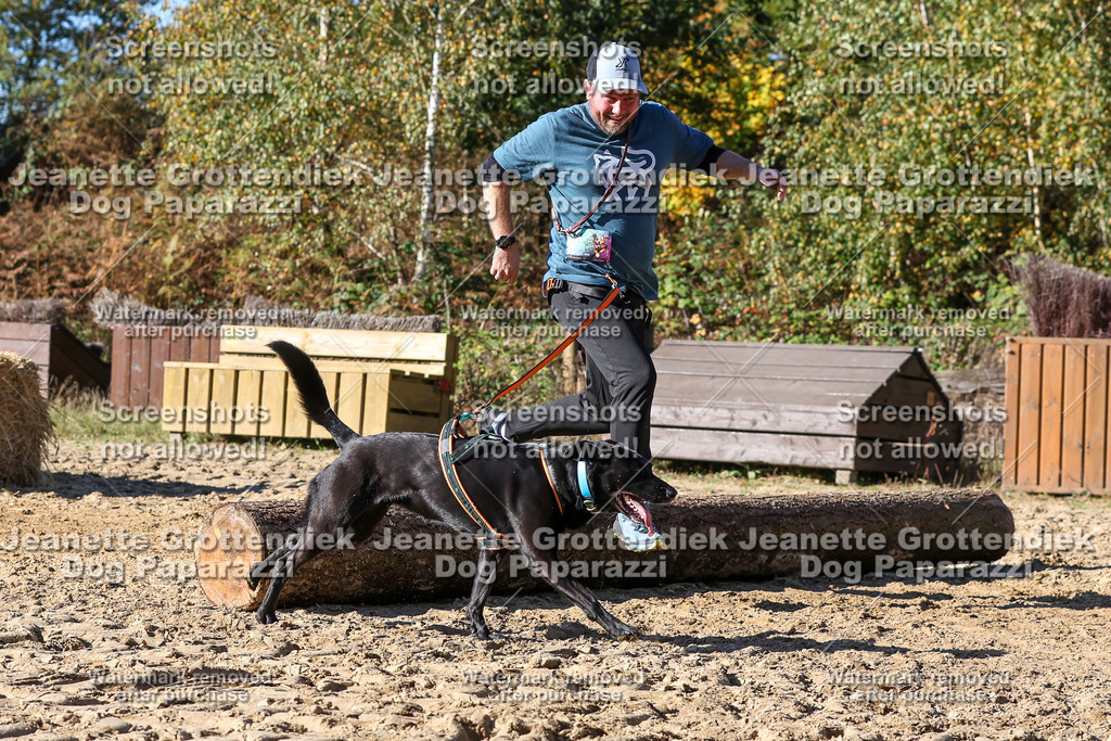 Dog Paparazzi - Strongdog 10-25-2833 | Dog Paparazzi Jeanette Grottendiek Fotografie & Videografie - Realisiert mit Pictrs.com