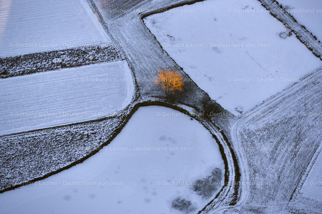 3700226 | Baum zwischen zugefrorenen Fischteichen bei Biengarten