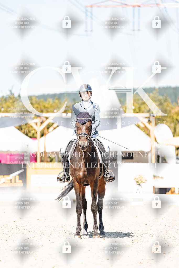 CK900105 | Turnierfotografie Pferdefotografie Trier Rheinland-Pfalz Pferdesport Reitsport Tierfotografie Sportfotografie Pferdevideo Pferdevideografie Equestrianvideography equestrianphotography  - Realisiert mit Pictrs.com