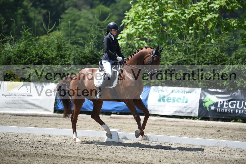 DSC_0977 | equestrian-live-com