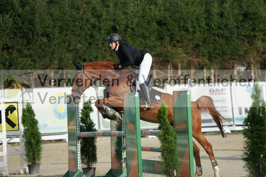 DSC01528 | equestrian-live-com