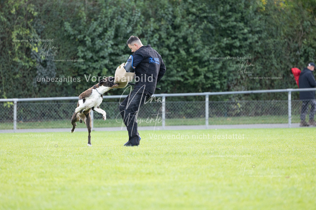 _16A6514 | Einzigartige Fotos von Hunden & Menschen –Actionfotos, Portraits, Vereinsaufnahmen & Paarshootings – authentisch, lebendig & mit Herz.