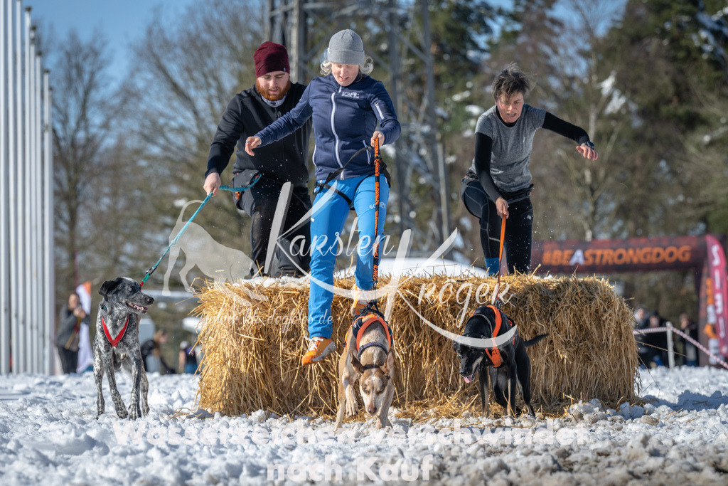 1217_ZZ92248-4 | kk-dogfotos