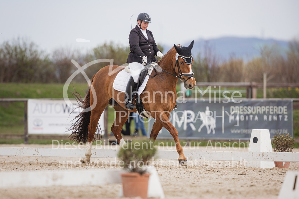 230410_Frühlingsfest_DressurWBA2-323 | Deine schönsten Turniermomente als professionelle Fotos! Entdecke hochwertige Pferdesport-Fotografie im Online-Shop. Jetzt Fotos finden & bestellen!