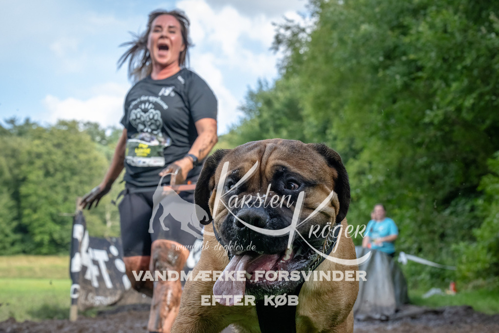 1713_ZZ91516-Bearbeitet | kk-dogfotos