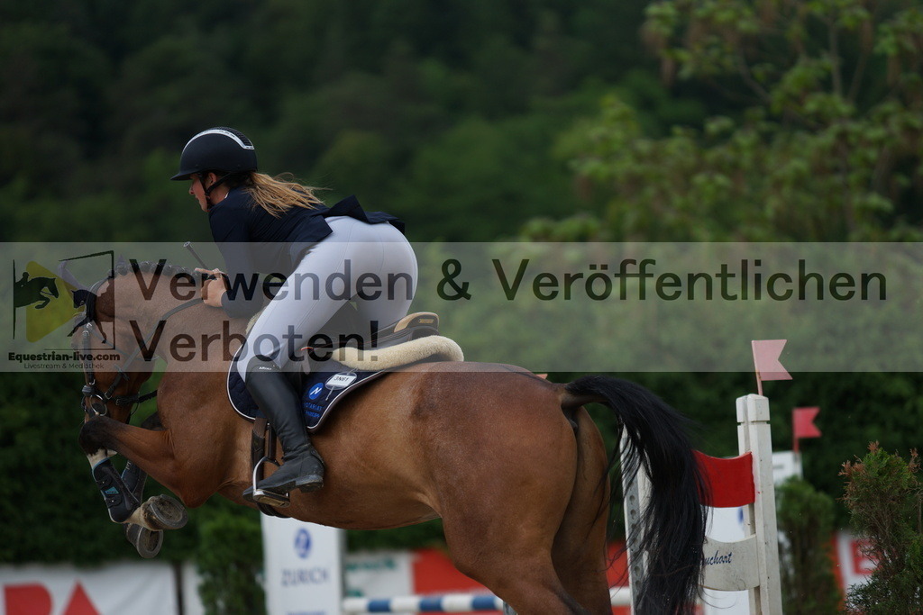 DSC06620 | equestrian-live-com