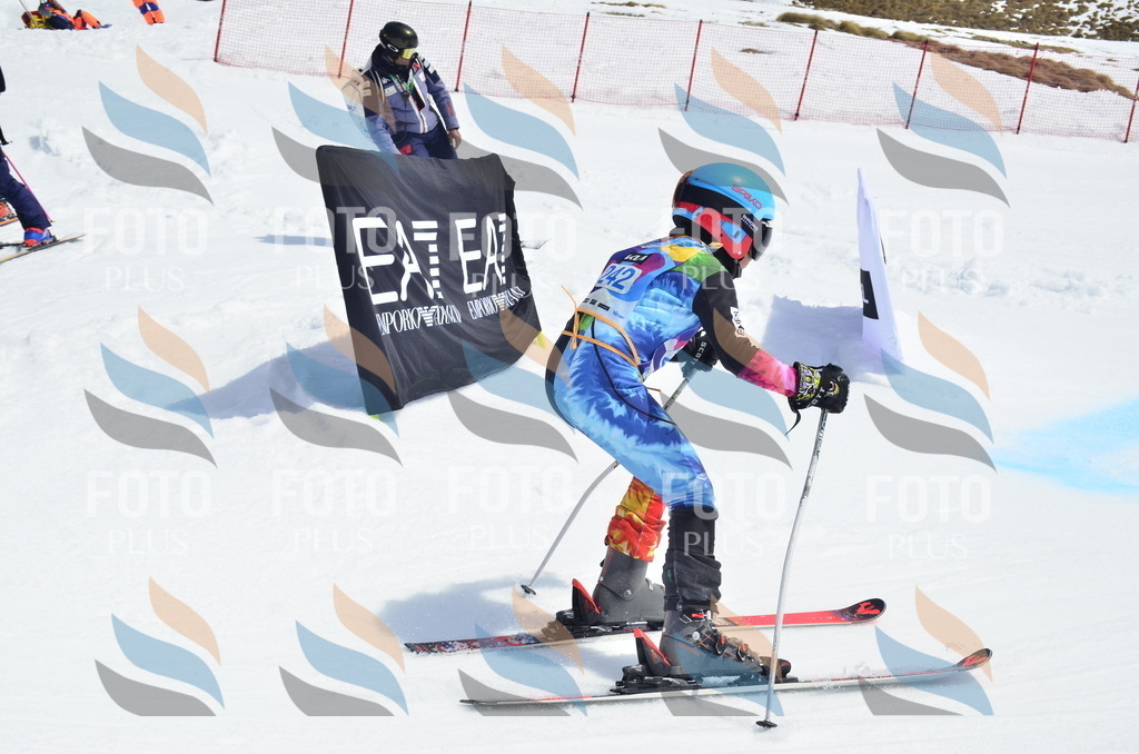 _ELE1756 | holidayphoto