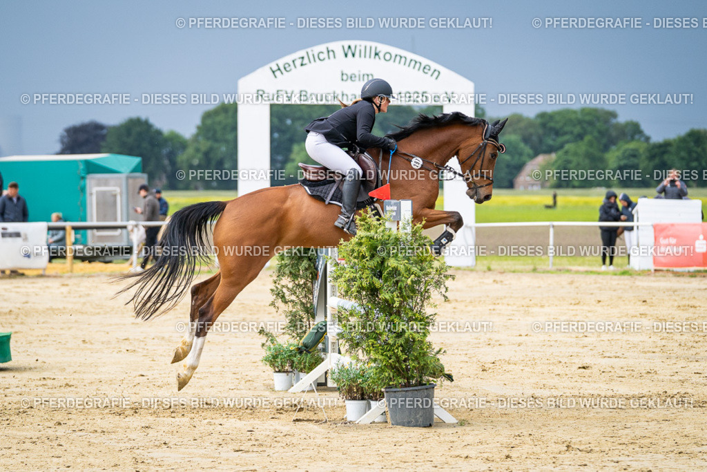 DSC04020 | Pferdegrafie