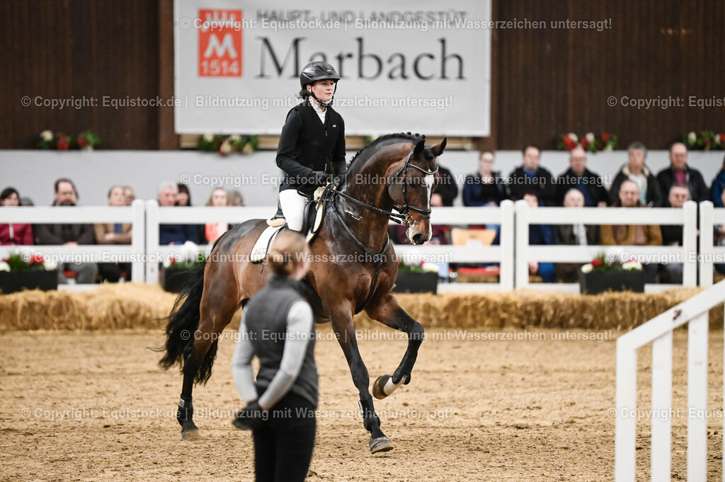 20260307_Hengstvorstellung-Marbach_0143 | equistock