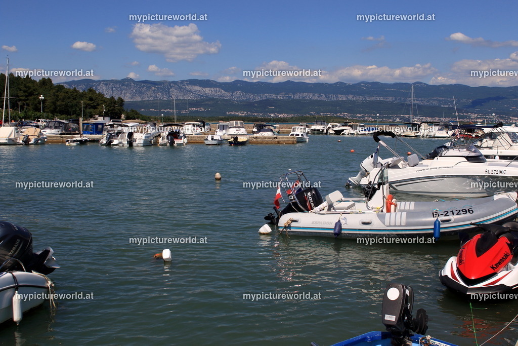 Cizici-001 | Das Bilderarchiv über Tiere, Planzen und Landschaften. In der Bilddatenbank finden Sie ein große Auswahl an hochwertigen Bilder für Ihre Werbung - Realized with Pictrs.com