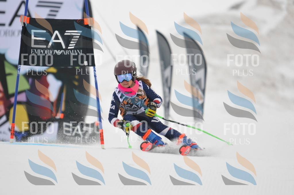 DSC_7358 | holidayphoto