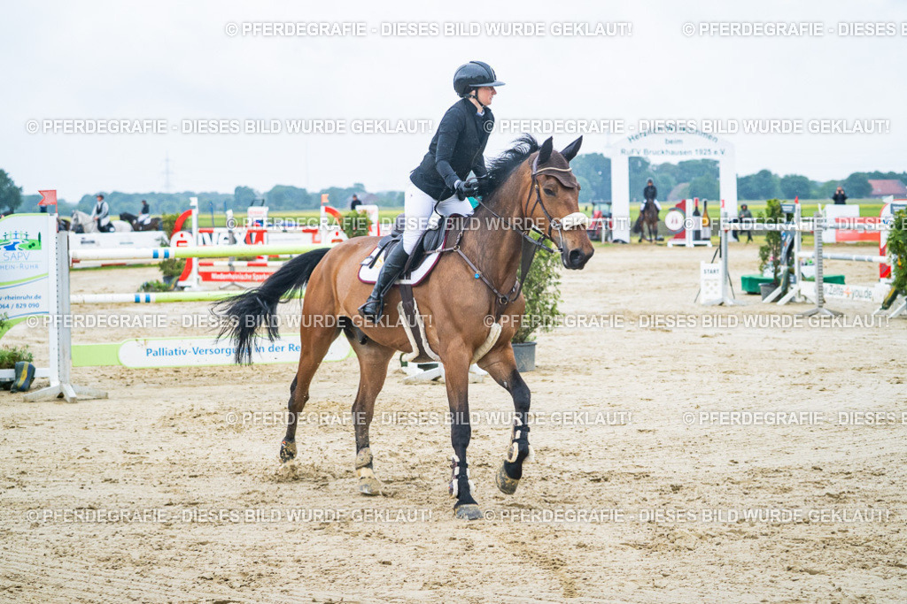 DSC00160 | Pferdegrafie