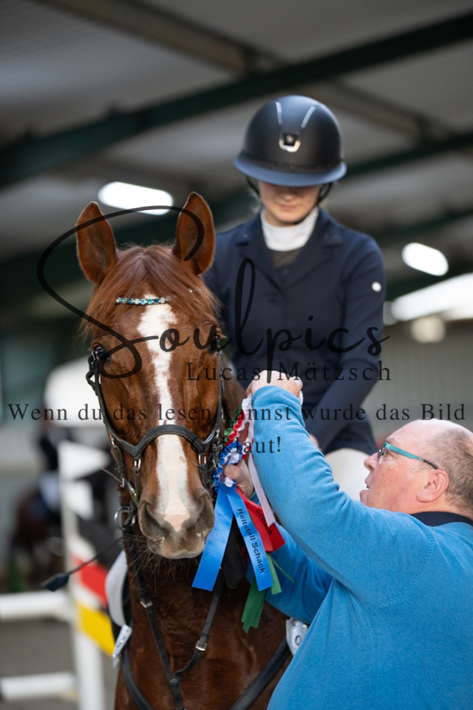 A7V04552 | Pferdefotograf