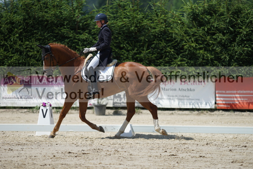 DSC05116 | equestrian-live-com