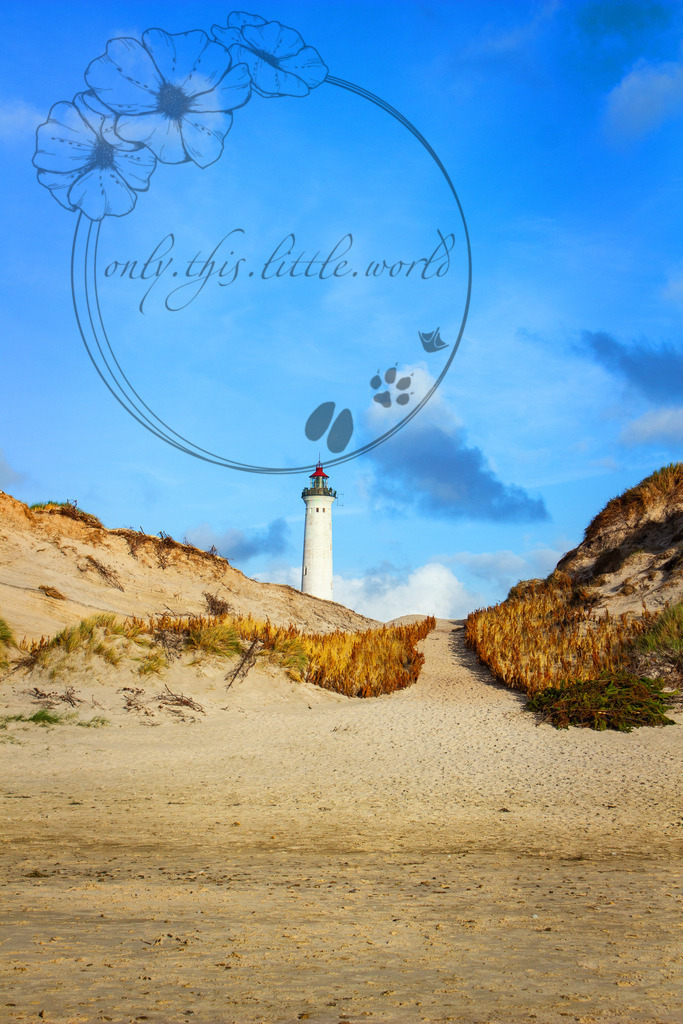 Versuch 02 | only.this.little.world - Realisiert mit Pictrs.com