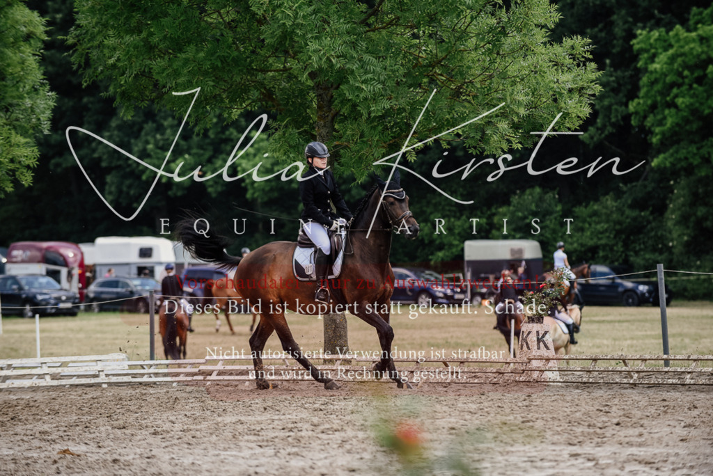 DSC_0791 | Pferde- und Turnierfotografie in Westsachsen. Pferdeportraits, Auftragszeichnungen und intuitive Kunst.