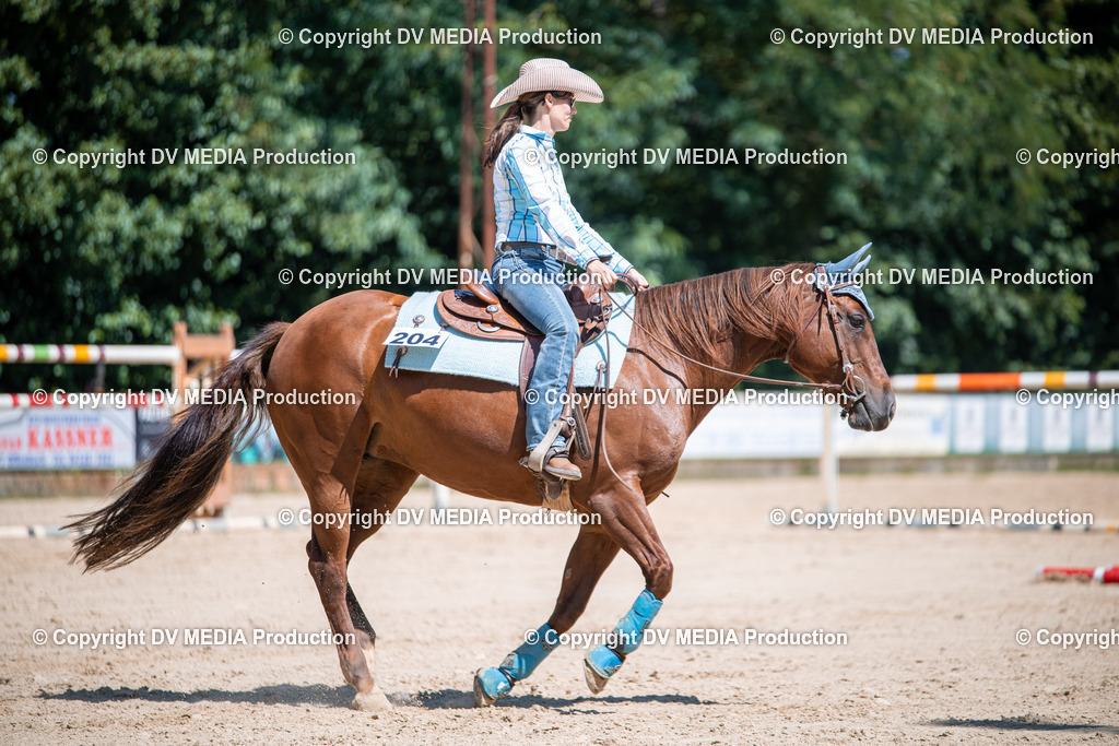 ZS1_1180 | dv-media-shop - Realisiert mit Pictrs.com