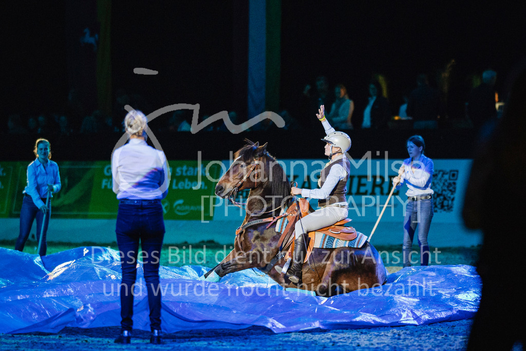 241102_Oldenburg_Show-344 | Deine schönsten Turniermomente als professionelle Fotos! Entdecke hochwertige Pferdesport-Fotografie im Online-Shop. Jetzt Fotos finden & bestellen!