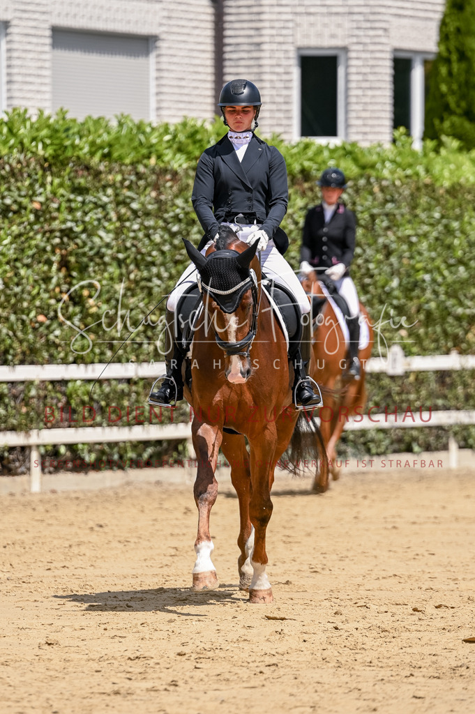 Schugtsche-Aluta25-48.Reitpferfdeprf.-267 | Schugtsche Fotografie - Realisiert mit Pictrs.com