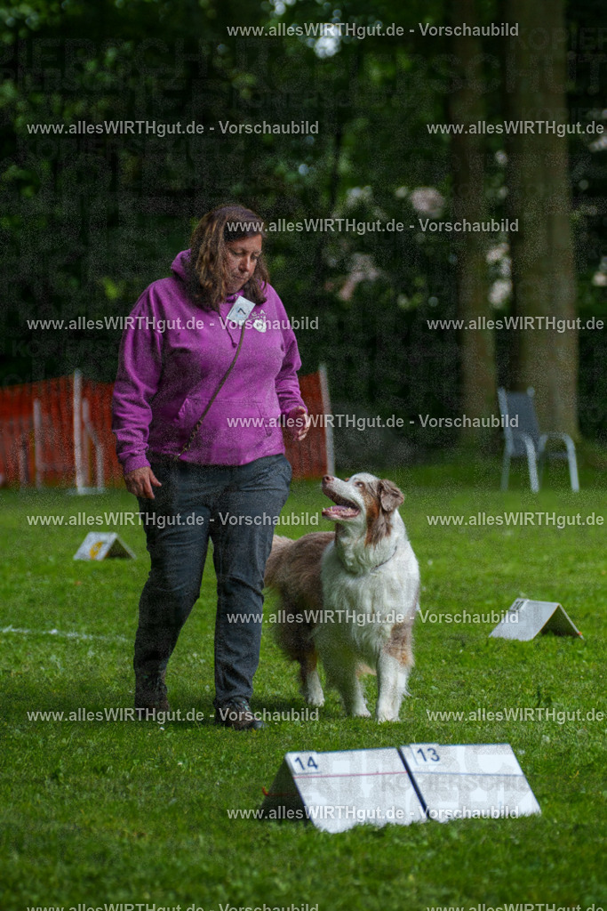 @allesWIRTHgut_Tierfotografie - www.allesWIRTHgut.de - 7R503309 | Professionelle Tierfotografie in Mönchengladbach von Daniel Wirth (allesWIRTHgut). Liebevolle & natürliche Bilder von Hunden & Katzen für unvergessliche Erinnerungen.