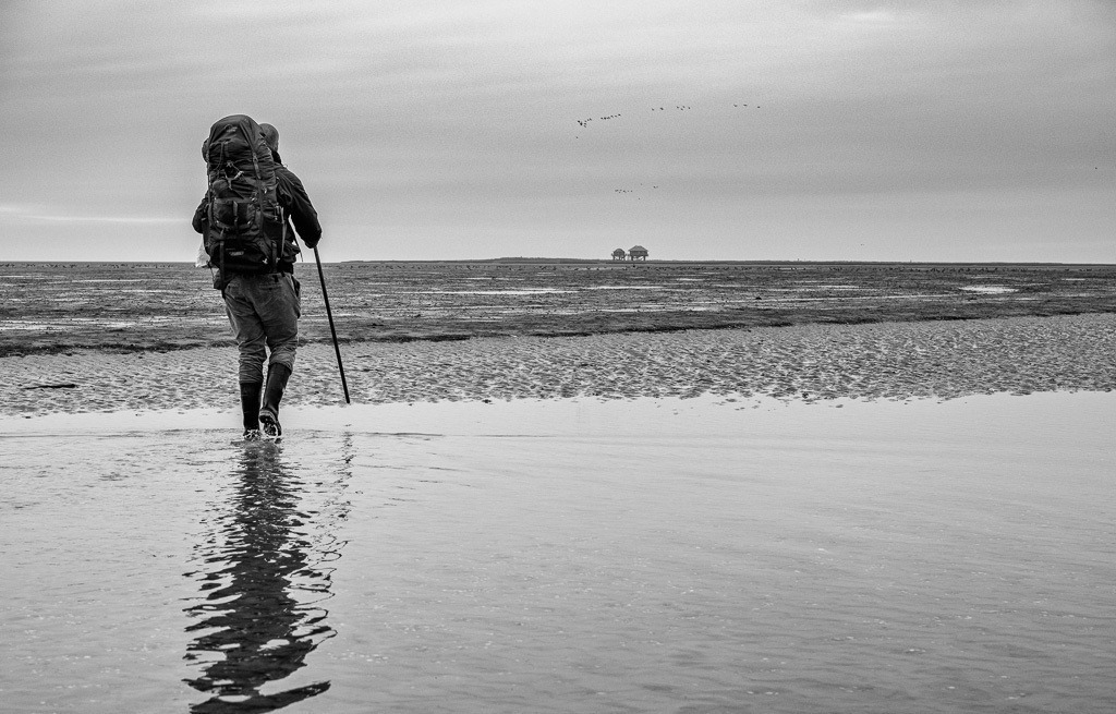 Vogelwart Nils Bayer auf Hallig Norderoog © Holger Rüdel | Der Online-Shop von Holger Rüdel. Ausgewählte Fotografien als FineArt-Prints bestellen: Bildreportagen, Landschaften, Wildlife, History, Infrarot-Motive in Schwarzweiß und Verschiedenes.  - Realisiert mit Pictrs.com