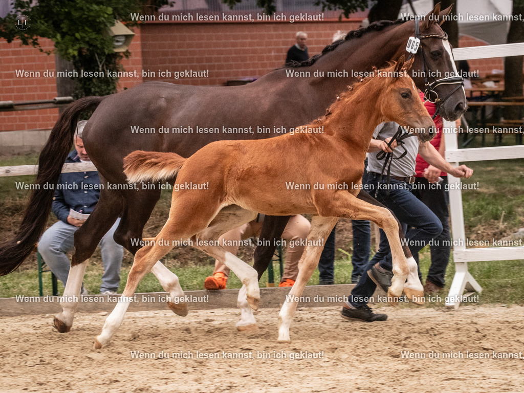 A10I6686 | photographylinaismer - Realisiert mit Pictrs.com