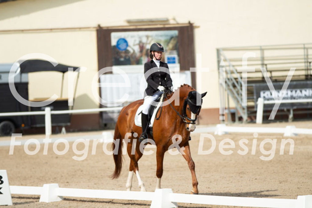 IMG_1293 | Creatify Fotografie