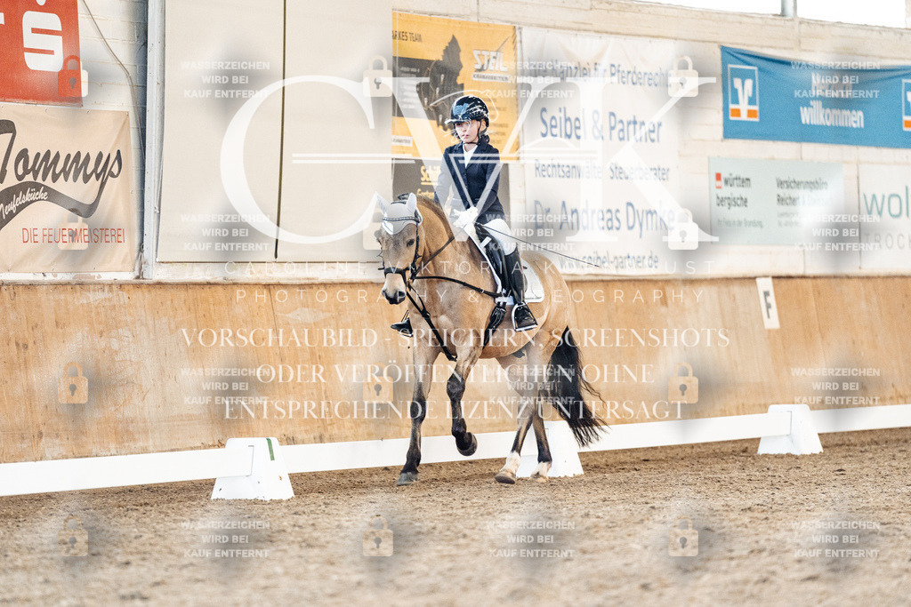 CK907414 | Turnierfotografie Pferdefotografie Trier Rheinland-Pfalz Pferdesport Reitsport Tierfotografie Sportfotografie Pferdevideo Pferdevideografie Equestrianvideography equestrianphotography  - Realisiert mit Pictrs.com